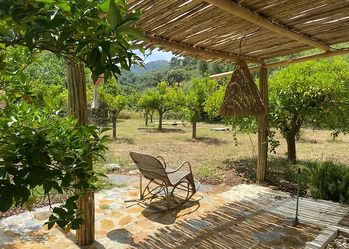 Panzió The4elements Monda