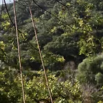ベッド・アンド・ブレックファスト The5elements *