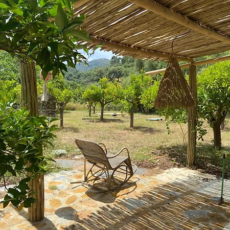 Bed and breakfast The5elements Monda