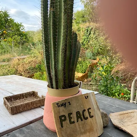 The4elements فندق مبيت وإفطار مونذا