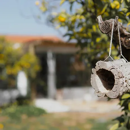 فندق مبيت وإفطار The4elements مونذا