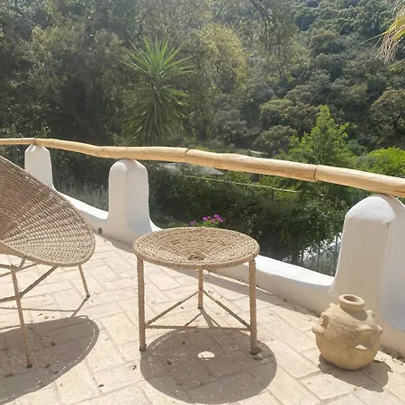 The4elements * Monda