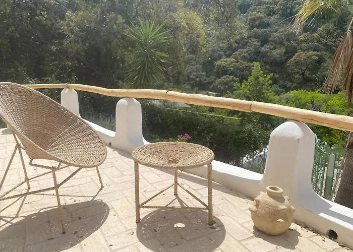 The4elements * Monda